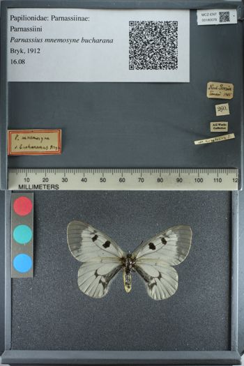 Media type: image;   Entomology 180078